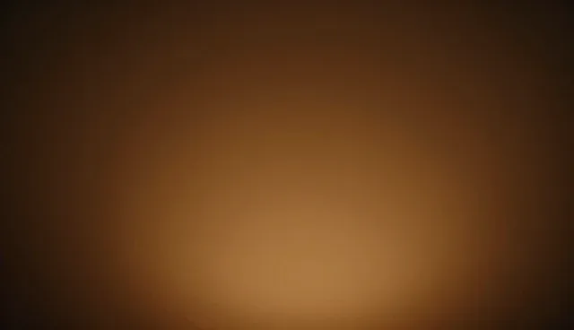 康复指导中规范诊疗与个性化方案的取舍分析